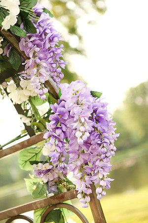 Weddings 12